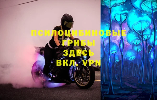 твердый Абинск