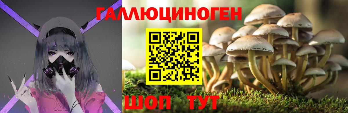 купить   Вход с VPN  Фурманов  Галлюциногенные грибы ЛСД 